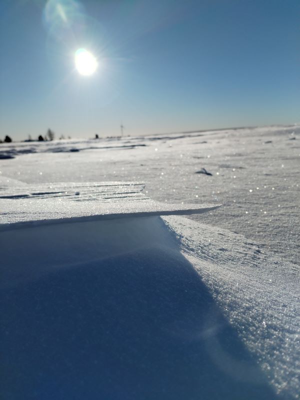 Kirkas talvimaisema, aurinko paistaa lumiselle pellolle ja kaukana näkyy puiden ja rakennusten siluetteja.